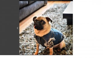 Снимка: Instagram