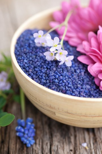 Снимка: Dreamstime