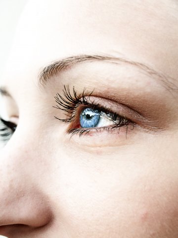 Снимка: Dreamstime