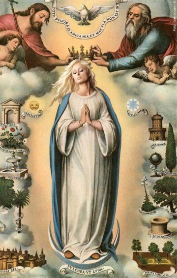 Парис е светица за феновете си. Снимка: Twitter