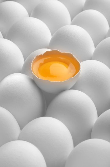 Снимка: Dreamstime