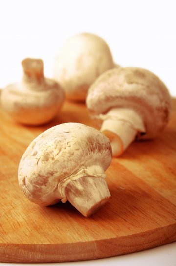 Снимка: Dreamstime