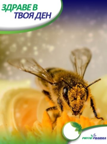 Прополис – безценният дар от природата