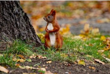 Снимка: sxc.hu