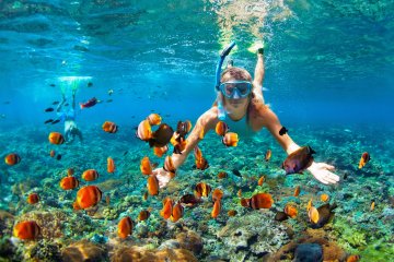 Снимка: Istock
