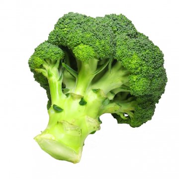 Снимка: Dreamstime