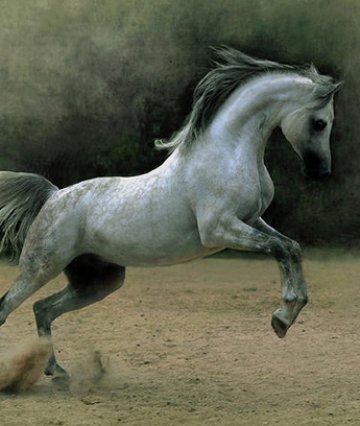 Снимка: Wojtek Kwiatkowski