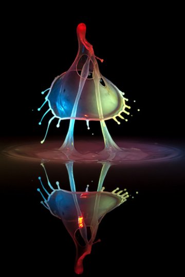 Снимка: Markus Reugels