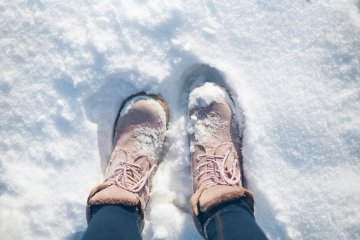 Снимка: Istockphoto