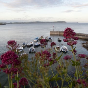 Снимка: adelto.co.uk