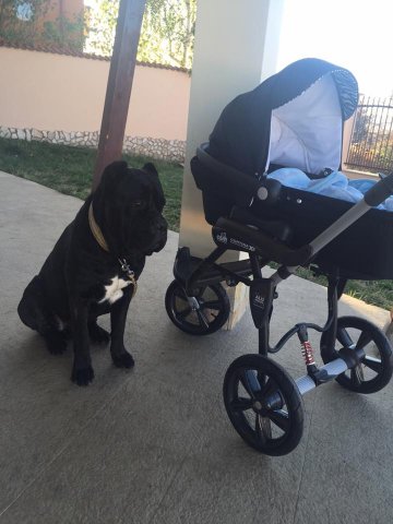 Снимка; Facebook