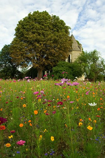 Снимка: Ben Lambers