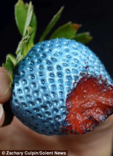 Снимка: Zavhary Culpin/Solent News