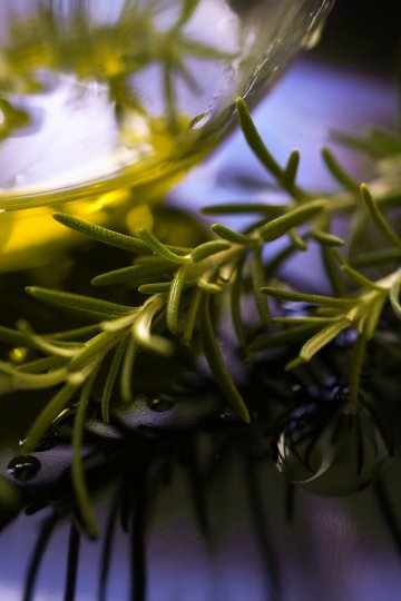 Снимка: Dreamstime