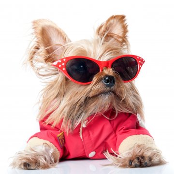 Снимка: Dreamstime