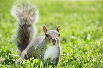 Снимка: Dreamstime