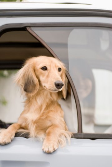 Снимка: Thinkstock