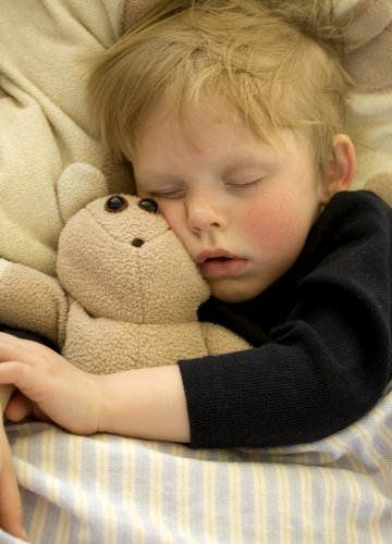 Снимка: Dreamstime