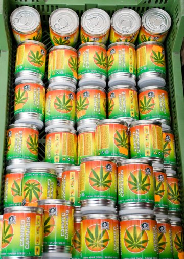 Снимка: Dreamstime