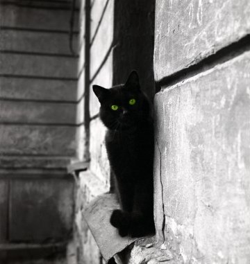 Снимка: Dreamstime