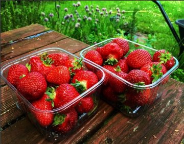 Снимка: Instagram