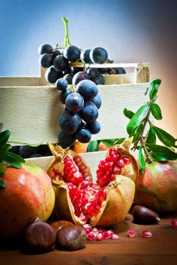 Снимка: Dreamstime