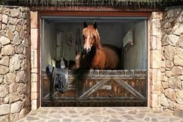 Снимка: oddee.com