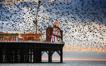 Снимка: Alan Mackenzie