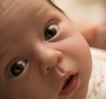 Снимка: Dreamstime