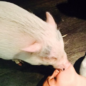 Майли Сайръс; Снимка: Instagram