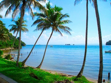 Снимка: PicsTropical