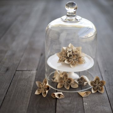 Снимка:suehphotographs.com