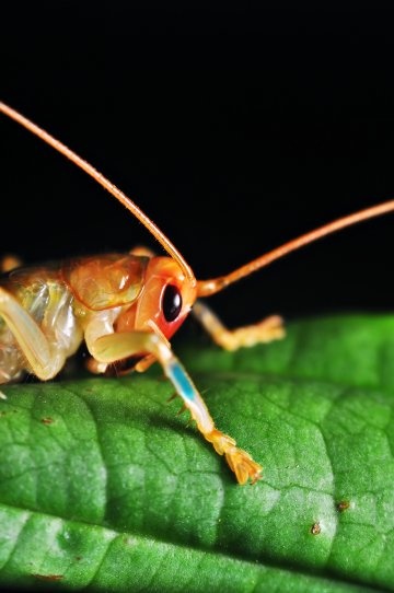 Снимка: Dreamstime