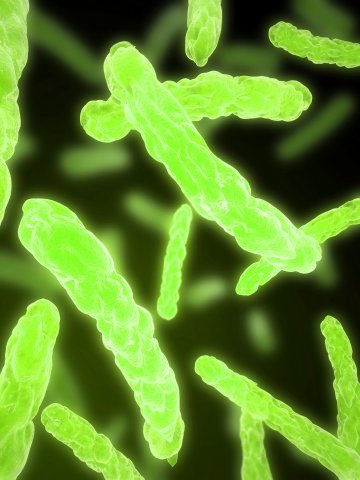 Снимка: Dreamstime