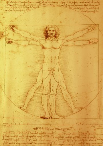 Витрувианският човек на Леонардо да Винчи; Снимка: Dreamstime