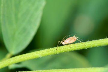 Снимка: Dreamstime