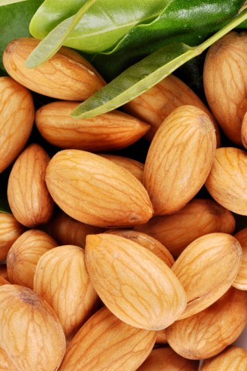 Снимка: Dreamstime