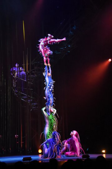 Снимка: СМЕ