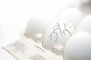 Снимка: Dreamstime