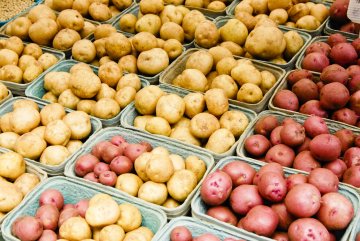 Снимка: Dreamstime