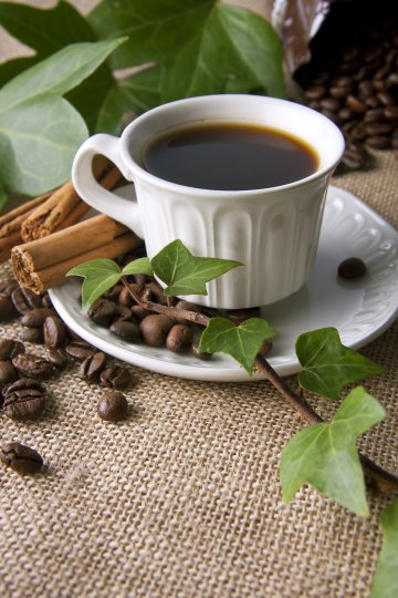 Снимка: Dreamstime