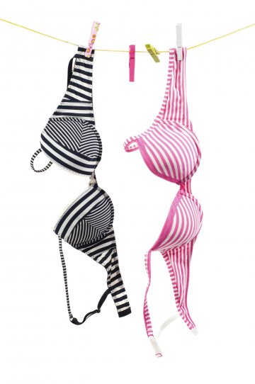 Снимка: Thinkstock