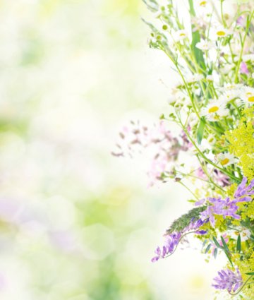 Снимка: Thinkstock