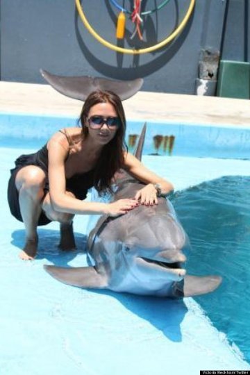 Снимкa: Twitter/Victoria Beckham  