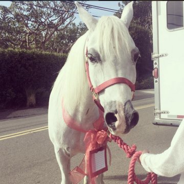 Снимка: Instagram