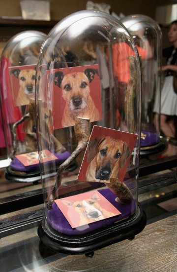 Снимка: Getty Images/ Guliver