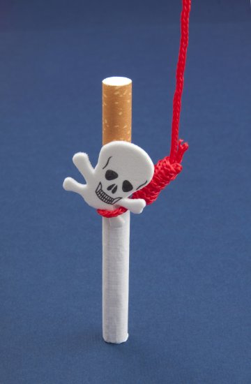 Снимка: Dreamstime