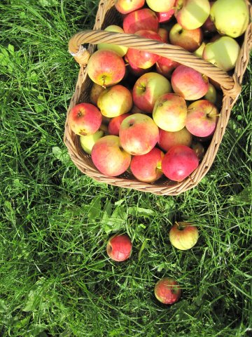 Снимка: Dreamstime