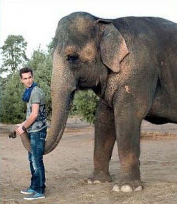 Снимка: Diesel