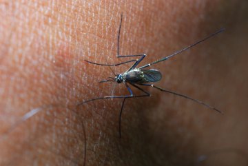 Снимка: Dreamstime